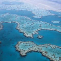 Great Barrier Reef aerial shot